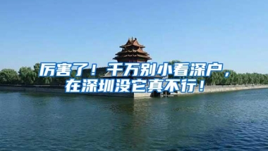 厉害了！千万别小看深户，在深圳没它真不行！