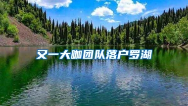 又一大咖团队落户罗湖