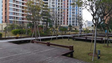 深圳核准入户办理多久焦虑何以成为一种集体困扰？