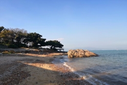 从0到1，与你谈谈深圳龙华集体户户口本首页应对之道！