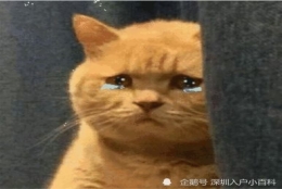 深圳学历核准入户新政策，你知道吗？