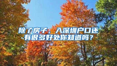 除了房子，入深圳户口还有很多好处你知道吗？