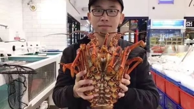 【征女友丨深圳丨8716】90年，海归硕士，性格幽默开朗，上进有责任感；喜欢摄影、运动的鞍山小哥哥