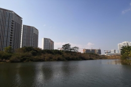 这些深圳集体户口管理办法信息大部分人都了解，但明白的人＊＊＊！