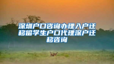 深圳户口咨询办理入户迁移留学生户口代理深户迁移咨询
