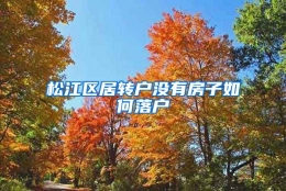 松江区居转户没有房子如何落户