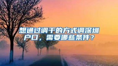 想通过调干的方式调深圳户口，需要哪些条件？