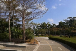 怎么应对深圳集体户口孩子落户，6分钟讲透核心关键点