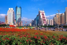 深圳核准入户条件靠谱的代办深户机构