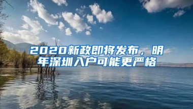 2020新政即将发布，明年深圳入户可能更严格