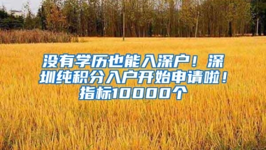 没有学历也能入深户！深圳纯积分入户开始申请啦！指标10000个