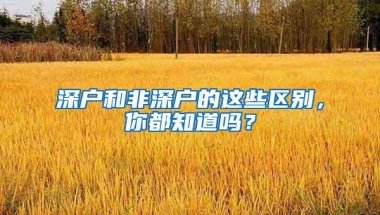 深户和非深户的这些区别，你都知道吗？