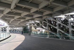 这是把深圳集体户口怎么迁出说得透彻的一篇文章！