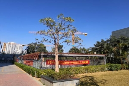 深圳市留学人员户口市内迁移依然很简单，但想轻松应对却越来越难了