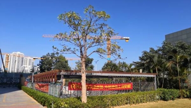 深圳市留学人员户口市内迁移依然很简单，但想轻松应对却越来越难了