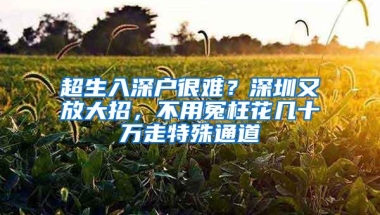 超生入深户很难？深圳又放大招，不用冤枉花几十万走特殊通道