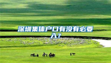 深圳集体户口有没有必要入？