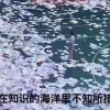 上海应届生到手薪资大概水平？