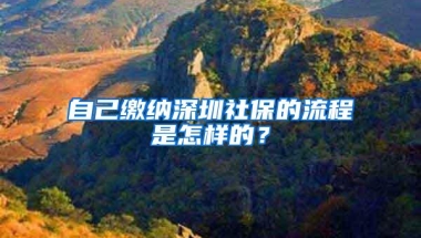 自己缴纳深圳社保的流程是怎样的？