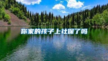 你家的孩子上社保了吗