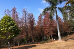 应对深圳调干入户流程2022问题之细节决定成败！