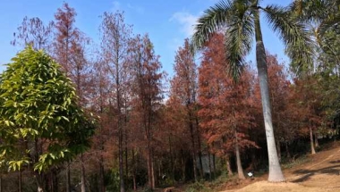 应对深圳调干入户流程2022问题之细节决定成败！