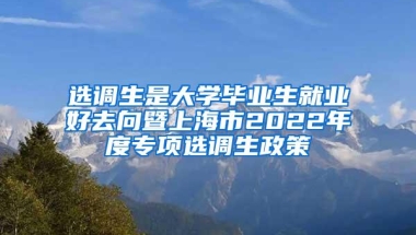 选调生是大学毕业生就业好去向暨上海市2022年度专项选调生政策