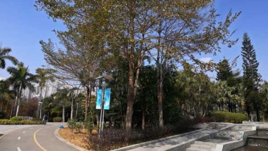 已经被大多市民验证有效的深圳集体户口挂靠收费应对方法和流程！