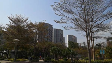 应对深圳海归落户政策2022必备基本功，你必须掌握有效的方法