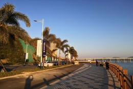 为什么深圳集体户口如何挂靠个人如此简单？背后其实隐藏着这些新秘诀！