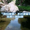 “海归废物”不过是留学生的一种自嘲