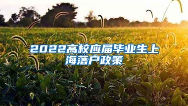 2022高校应届毕业生上海落户政策