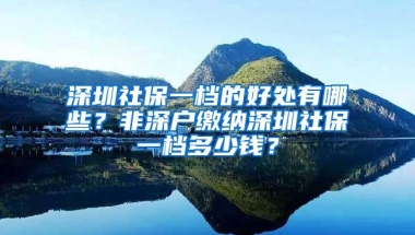 深圳社保一档的好处有哪些？非深户缴纳深圳社保一档多少钱？