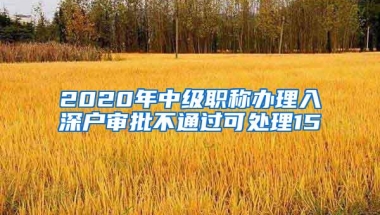 2020年中级职称办理入深户审批不通过可处理15
