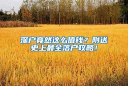 深户竟然这么值钱？附送史上最全落户攻略！