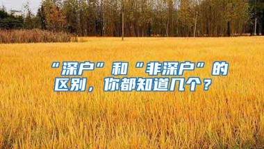 “深户”和“非深户”的区别，你都知道几个？
