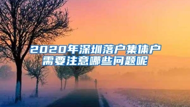 2020年深圳落户集体户需要注意哪些问题呢