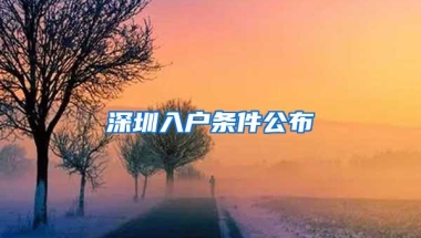 深圳入户条件公布