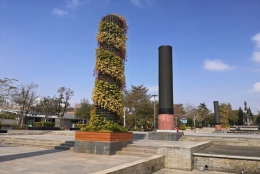 什么是深圳核准制入户其实很简单