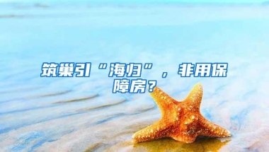 筑巢引“海归”，非用保障房？