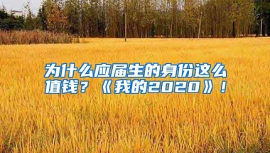 为什么应届生的身份这么值钱？《我的2020》！