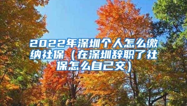 2022年深圳个人怎么缴纳社保（在深圳辞职了社保怎么自己交）