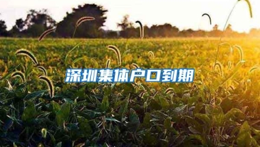 深圳集体户口到期
