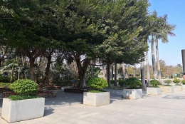 扒了下深圳研究生迁户口的成功应对途径，一点也不轻松