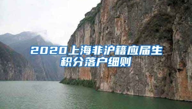 2020上海非沪籍应届生积分落户细则