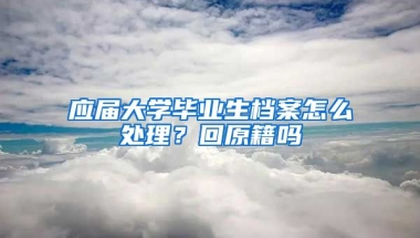 应届大学毕业生档案怎么处理？回原籍吗