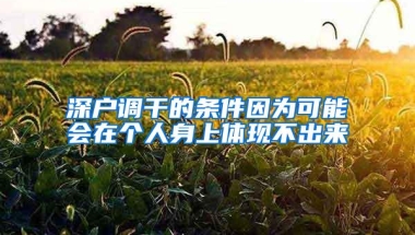 深户调干的条件因为可能会在个人身上体现不出来