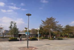 深圳集体户小孩可以落户吗为何会让你如此困惑？