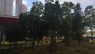 深圳核准入户条件2022问题处理时好纠结的一个问题！