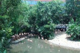 2021年留学生落户深圳政策的完美计划！